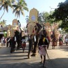 004 Elephantenparade Sylvester Cherai.JPG